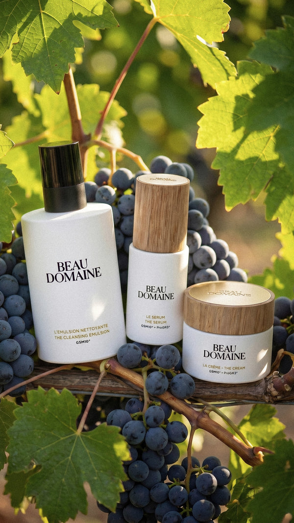 Beau Domaine by Brad Pitt & Famille Perrin